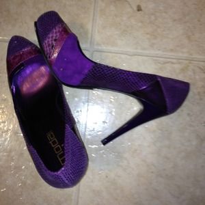 Royal Purple Stelletoes
