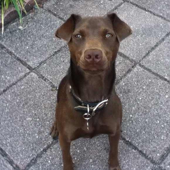 This is Ruby, one of my babies!