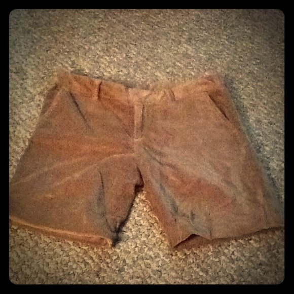 Velvety Bermuda shorts