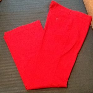 Express design studio slacks