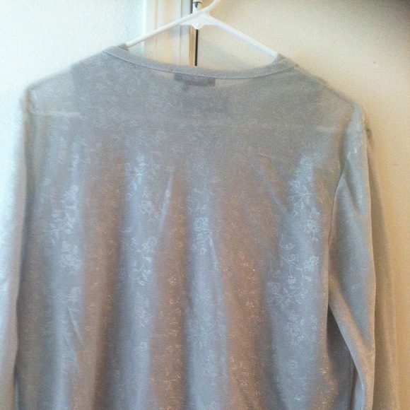 Shimmery Silver Twin Set - Picture 2 of 4