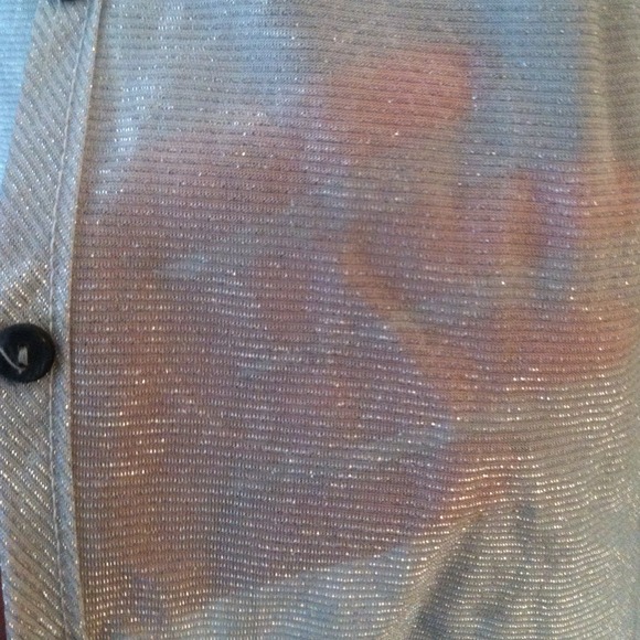 Shimmery Silver Twin Set - Picture 3 of 4