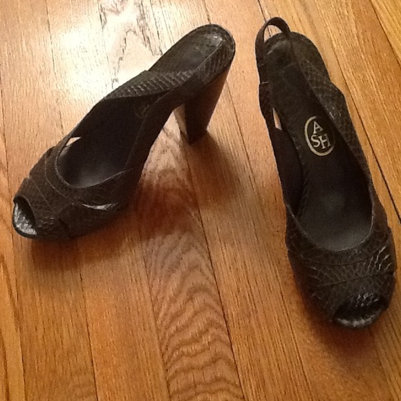 Ash lizard sling backs