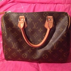 LV inspired purse