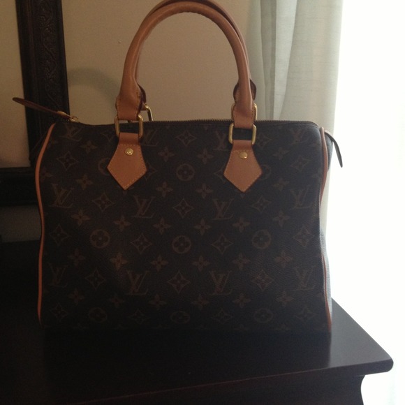 Louis Vuitton inspired speedy bag