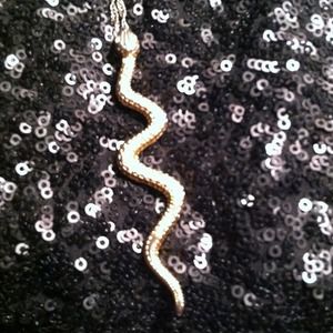 Snake necklace