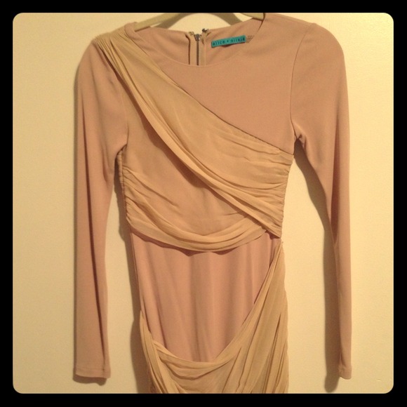 alice + olivia long sleeve goddess dress