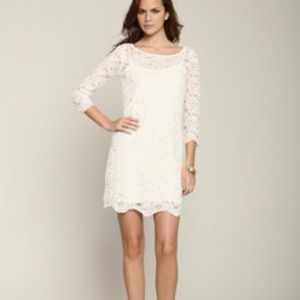 Renvy Lace Shift Dress