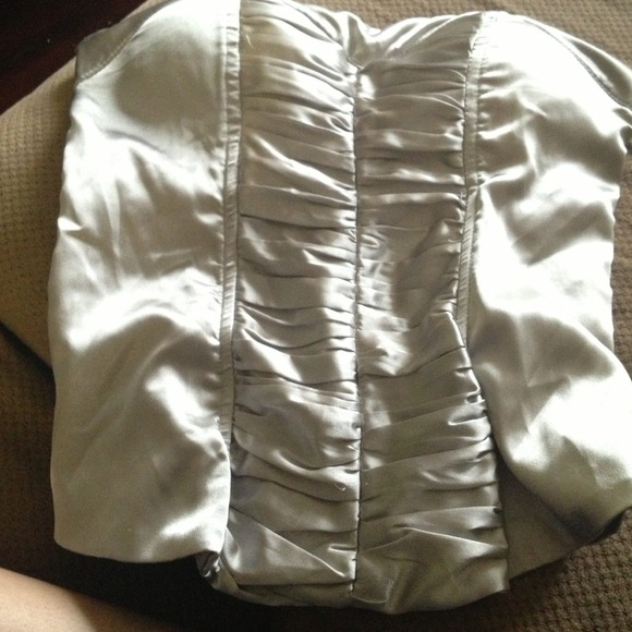 Silver Zip up Corsett