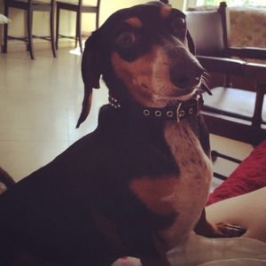 💗NOT FOR SALE💗