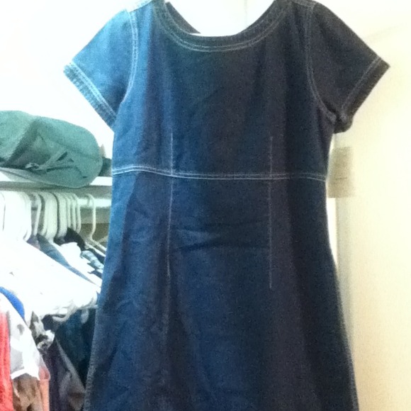 Liz Claiborne Denim Dress (Petites)