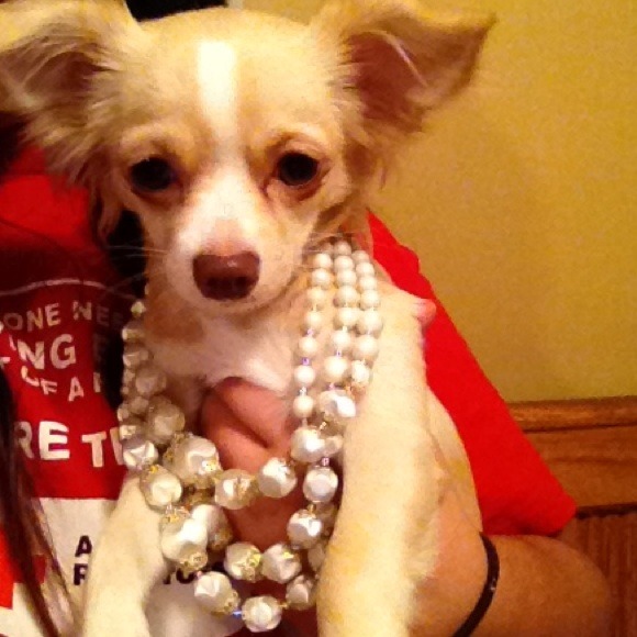 Shop my mommys closet! 💗🐾🎀 - Picture 2 of 4