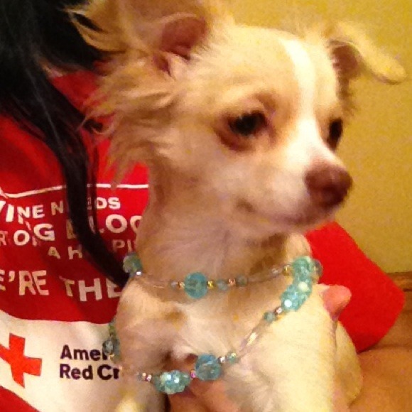 Shop my mommys closet! 💗🐾🎀 - Picture 3 of 4