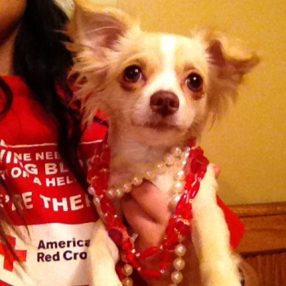 Shop my mommys closet! 💗🐾🎀 - Picture 4 of 4