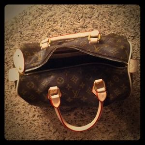 Louis Vuitton INSPIRED speedy style bag