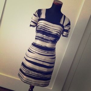 Banana Republic 100% silk brushstroke mini dress