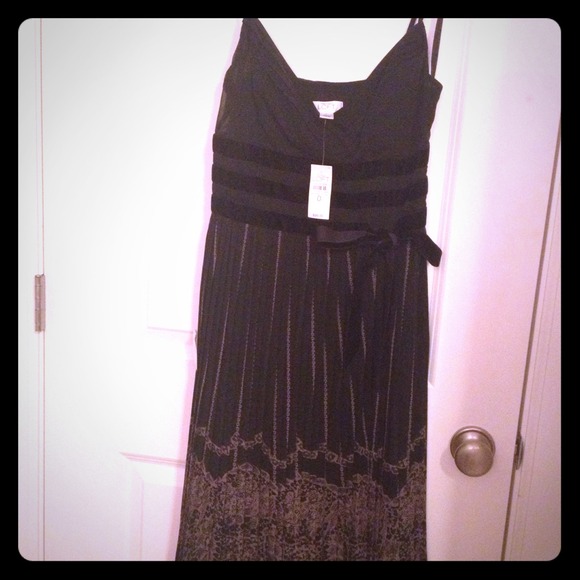 Ann Taylor Loft dress
