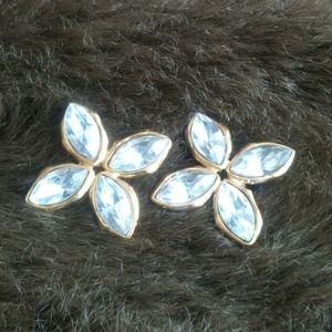 Pretty Flower Earrings