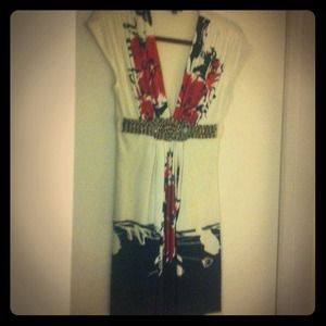 SKY Dress. Size Medium.