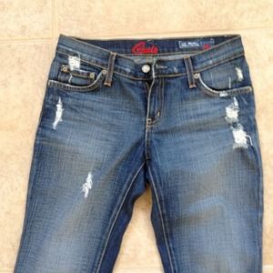 KEEPING🙀🌷Blue Colt Distressed jeans