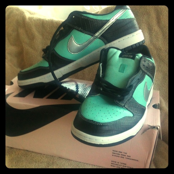 Nike Dunk Low pro SB