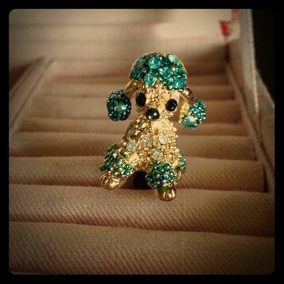 Poodle earphone Jack