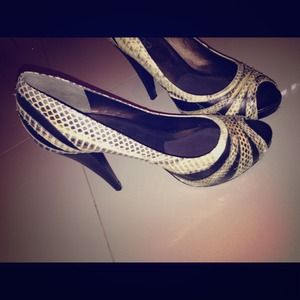 Snake Skin Aldo Shoes