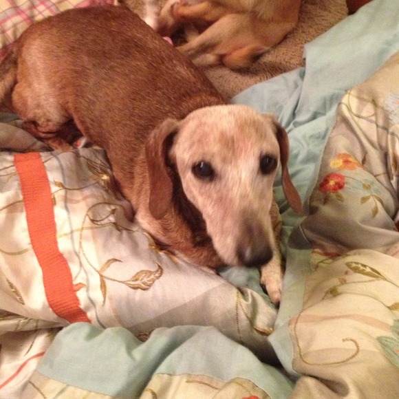 Wiener