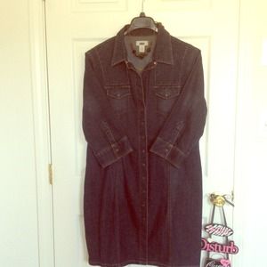 Denim dress/coat