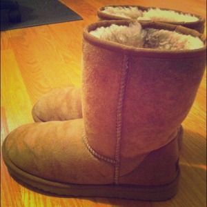 Classic Short Chestnut Uggs (RESERVED)