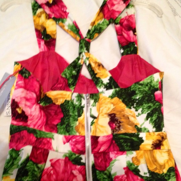 London Times floral print dress/ brand New - Picture 3 of 4
