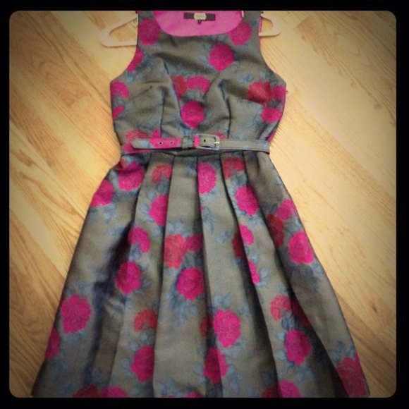 Eva Franco Starlette Rose Pleated Dress - Picture 3 of 3