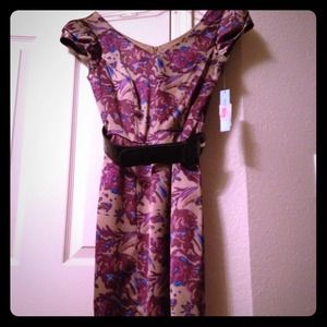 Size 2 Antonio Melani Dress