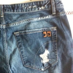 Joe's Jeans Ex-Lover in Gemma sz 31