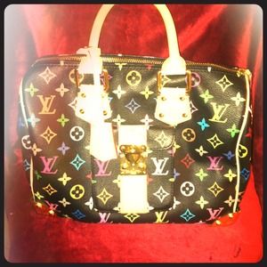 Louis Vuitton purse