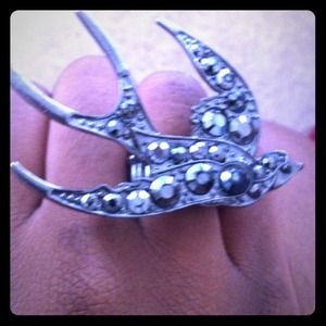 Bird ring