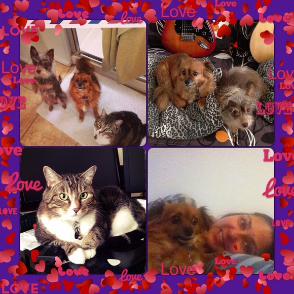 ✻🙋🏻✻Meet your Posher - Picture 3 of 4