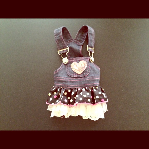 Hold.  Small dog denim dress