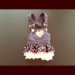 Hold.  Small dog denim dress