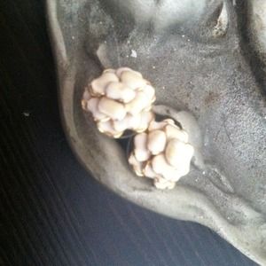 Anthropologie flower posts