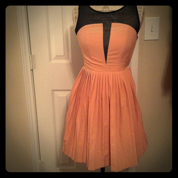 Dresses & Skirts - Sheer Pleated Dress