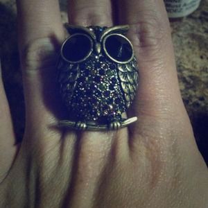 Owl Ring!
