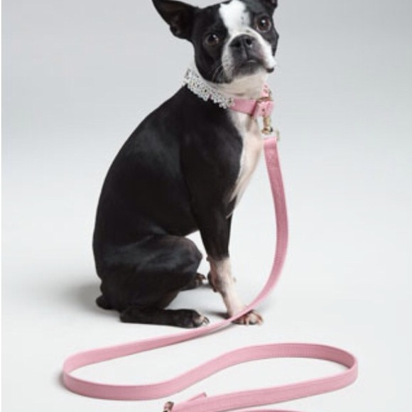 Oscar De La Renta - Dog Collar Set