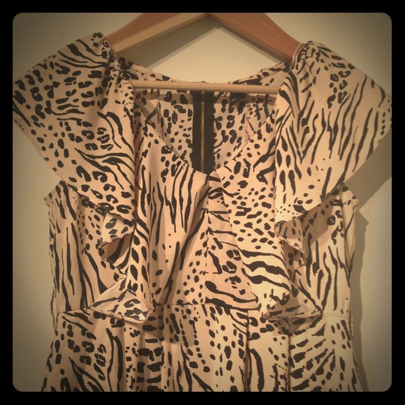 Cat Print Dress by H&M Bundle