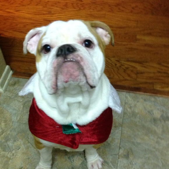 Not for sell - Picture 1 of 4