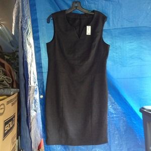 The Limited Business Dress