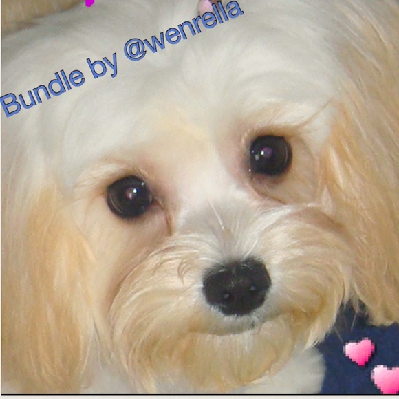 Welcome to @wenrella EST. in JANUARY 2013. (FULL) - Picture 7 of 9