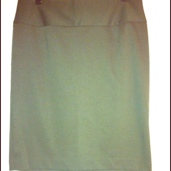 Lane Bryant Pencil Skirt