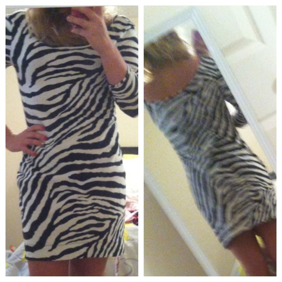 Zebra Express dress