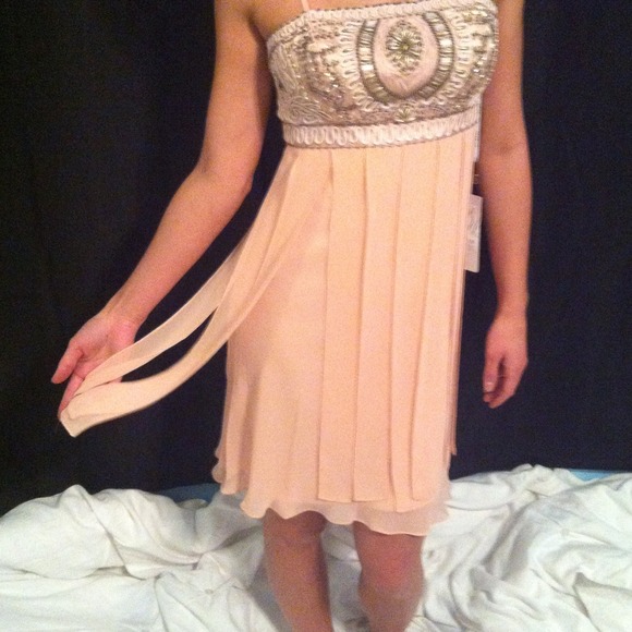 Formal Dress - Picture 3 of 4
